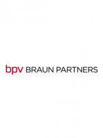 2e28ce0064edbbef97764d82d1ef59f9/bpv braun partners.png