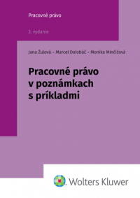 Pracovné právo v poznámkach s príkladmi, 3. vydanie